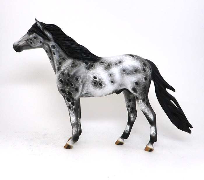 XANDER - OOAK BLACK AND WHITE APPALOOSA MUSTANG - 10/23