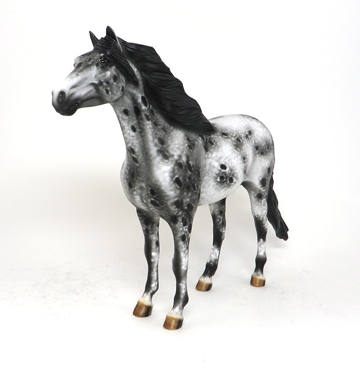 XANDER - OOAK BLACK AND WHITE APPALOOSA MUSTANG - 10/23
