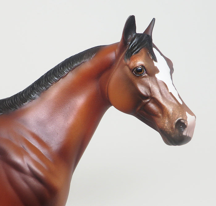 COFFEE JITTERS - OOAK BAY APPALOOSA  ISH MODEL HORSE - 2/12