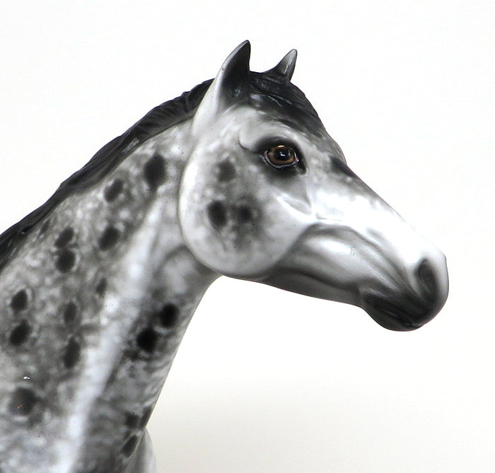 XANDER - OOAK BLACK AND WHITE APPALOOSA MUSTANG - 10/23