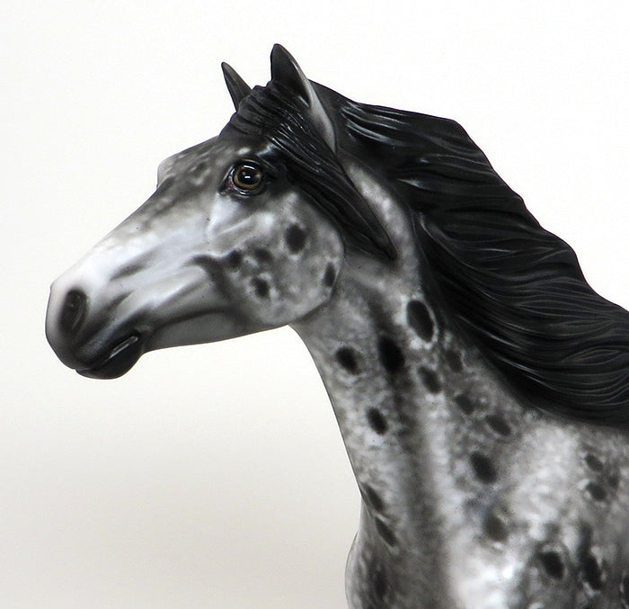XANDER - OOAK BLACK AND WHITE APPALOOSA MUSTANG - 10/23
