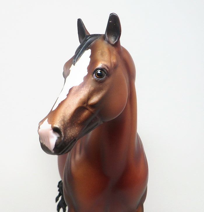 COFFEE JITTERS - OOAK BAY APPALOOSA  ISH MODEL HORSE - 2/12