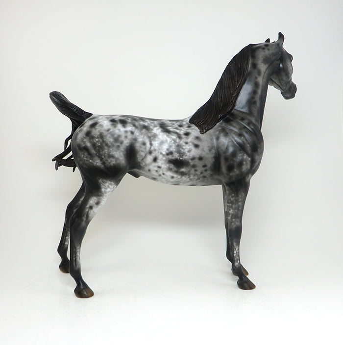 13 MOONS - OOAK APPALOOSA ARABIAN MODEL HORSE BY AL - 2/16