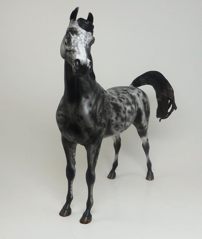13 MOONS - OOAK APPALOOSA ARABIAN MODEL HORSE BY AL - 2/16