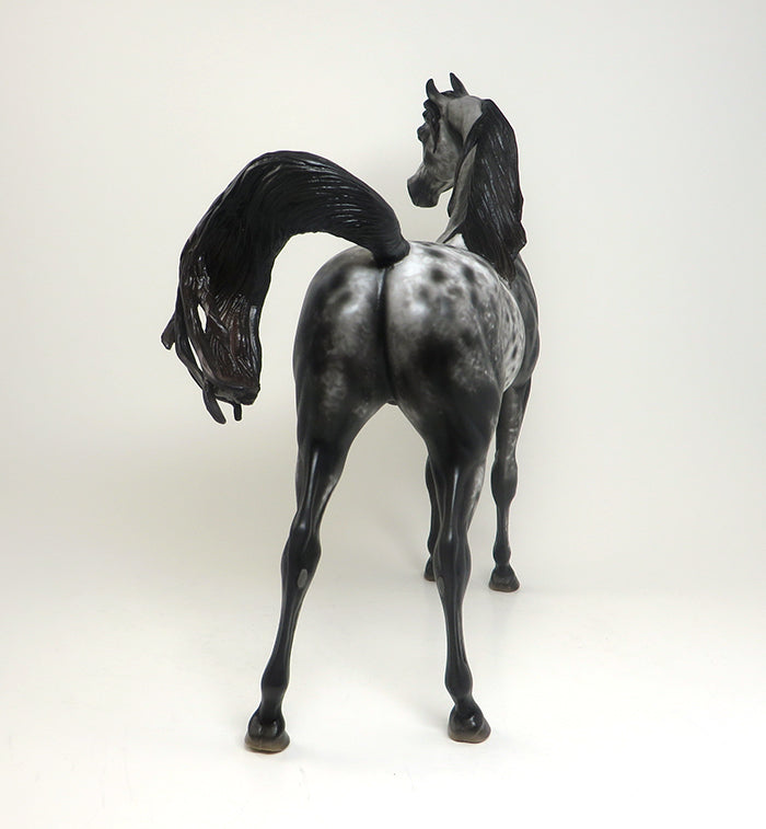13 MOONS - OOAK APPALOOSA ARABIAN MODEL HORSE BY AL - 2/16