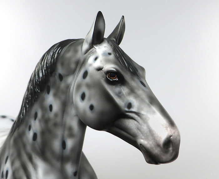 SUGARBUSH-OOAK APPALOOSA STANDING DRAFTER MODEL HORSE Painted &amp; Signed by Dawn Quick 08/10