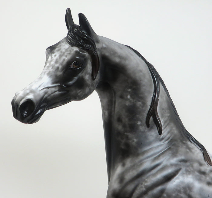 13 MOONS - OOAK APPALOOSA ARABIAN MODEL HORSE BY AL - 2/16