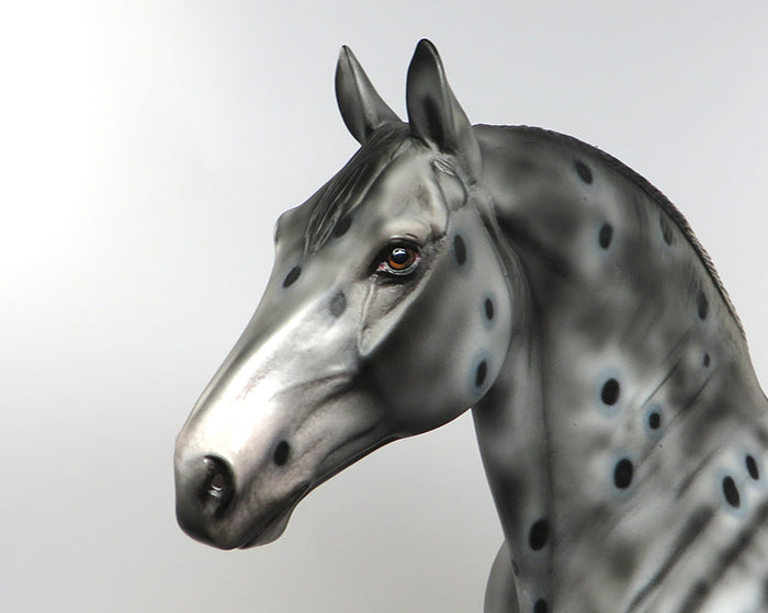 SUGARBUSH-OOAK APPALOOSA STANDING DRAFTER MODEL HORSE Painted &amp; Signed by Dawn Quick 08/10