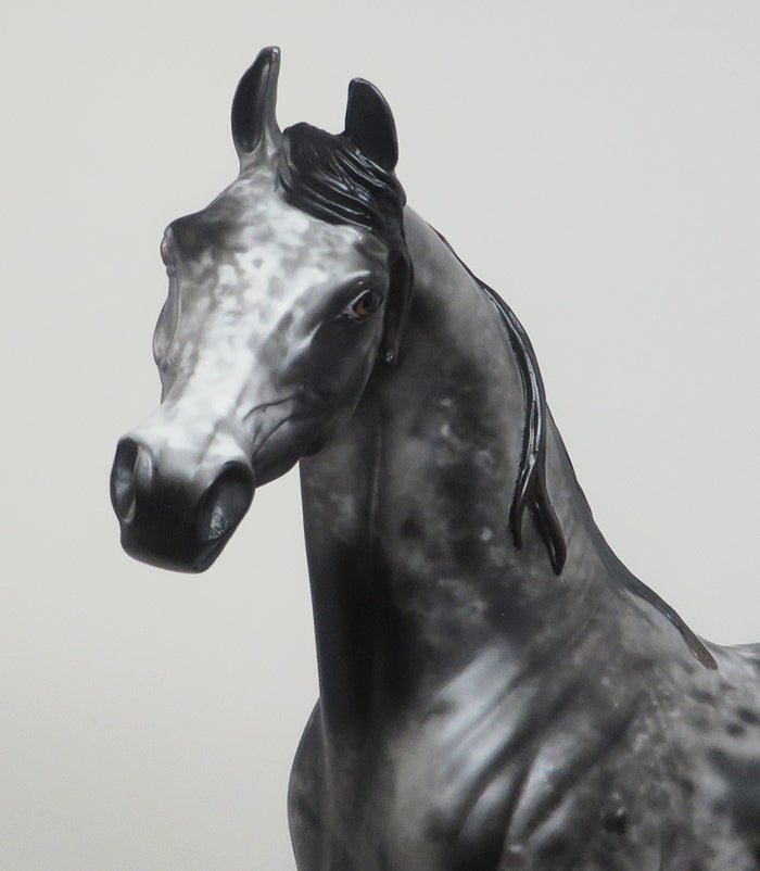 13 MOONS - OOAK APPALOOSA ARABIAN MODEL HORSE BY AL - 2/16