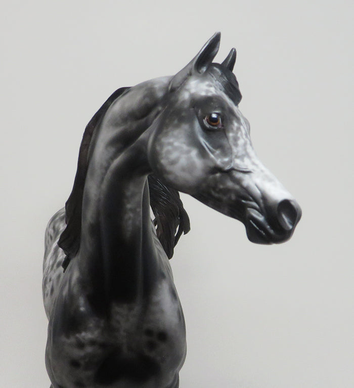 13 MOONS - OOAK APPALOOSA ARABIAN MODEL HORSE BY AL - 2/16