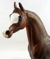 arabians