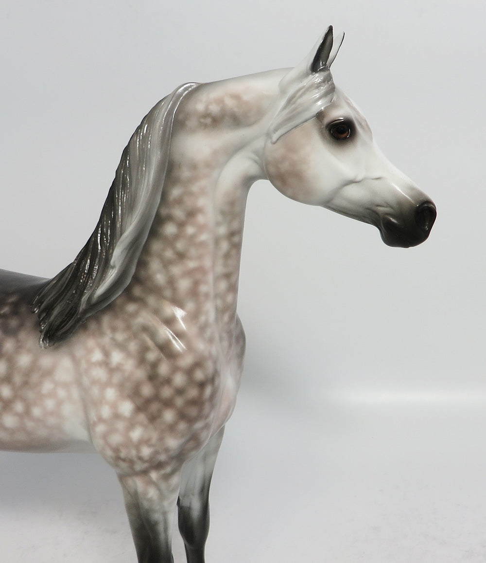 SNEAKING SUSPICION - OOAK STAR DAPPLE ROSE GREY ARABIAN MODEL HORSE BY SHERYL LEISURE 1/19/18
