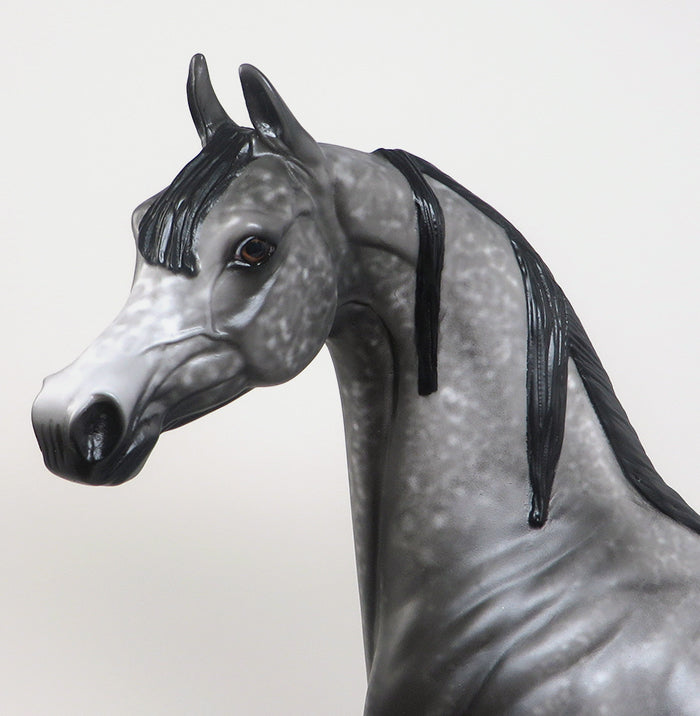 SOUL MAN - DAPPLE GREY ARABIAN MODEL HORSE by AL - 2/12