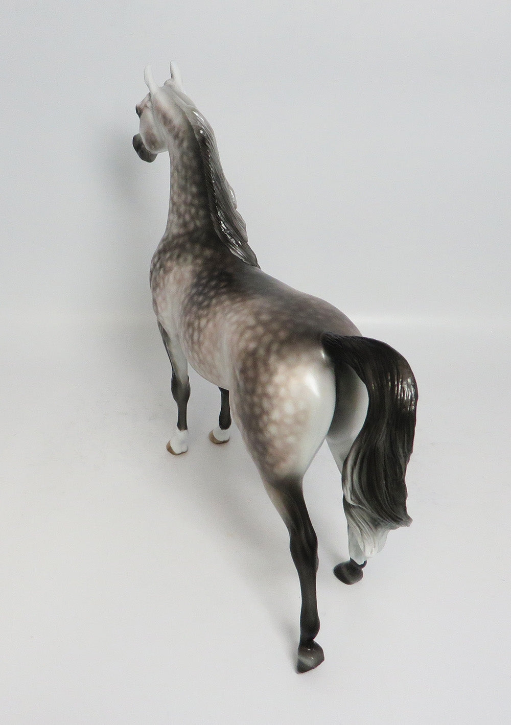 SNEAKING SUSPICION - OOAK STAR DAPPLE ROSE GREY ARABIAN MODEL HORSE BY SHERYL LEISURE 1/19/18