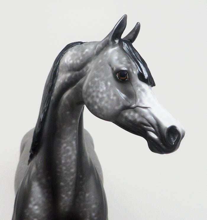 SOUL MAN - DAPPLE GREY ARABIAN MODEL HORSE by AL - 2/12