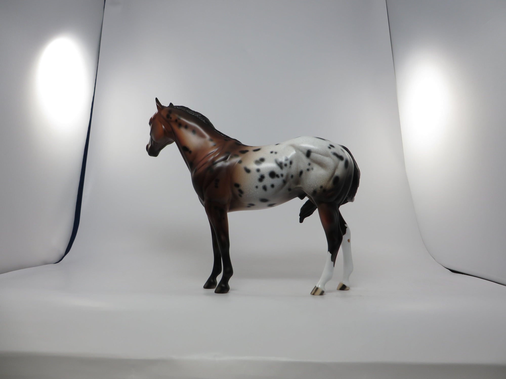 THUNDER STICK-OOAK BRONZE BAY APPALOOSA ISH 8/12