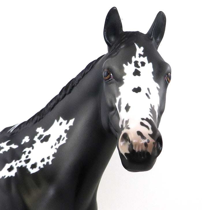 HARRIS - OOAK GREY PAINT ISH -10/23