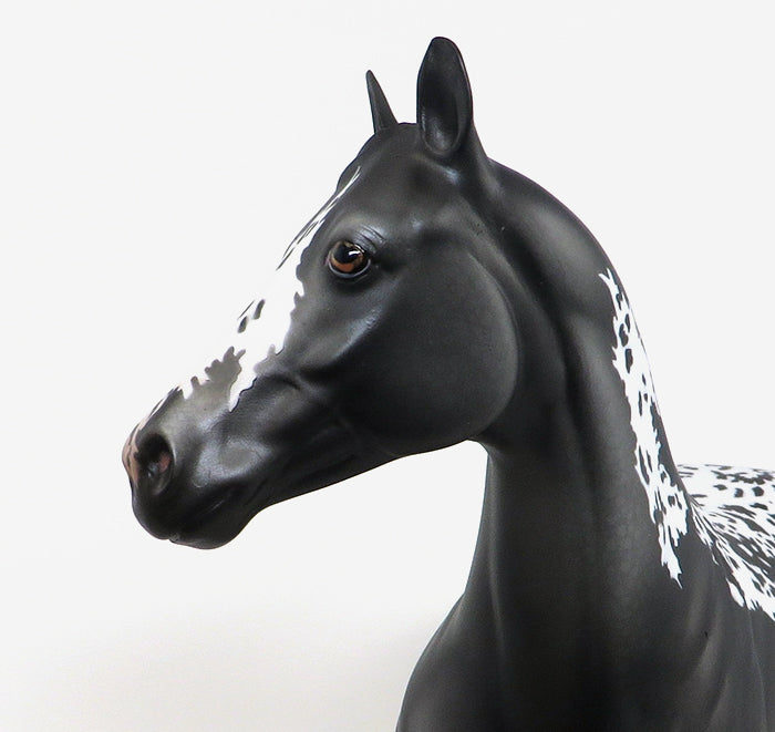 HARRIS - OOAK GREY PAINT ISH -10/23