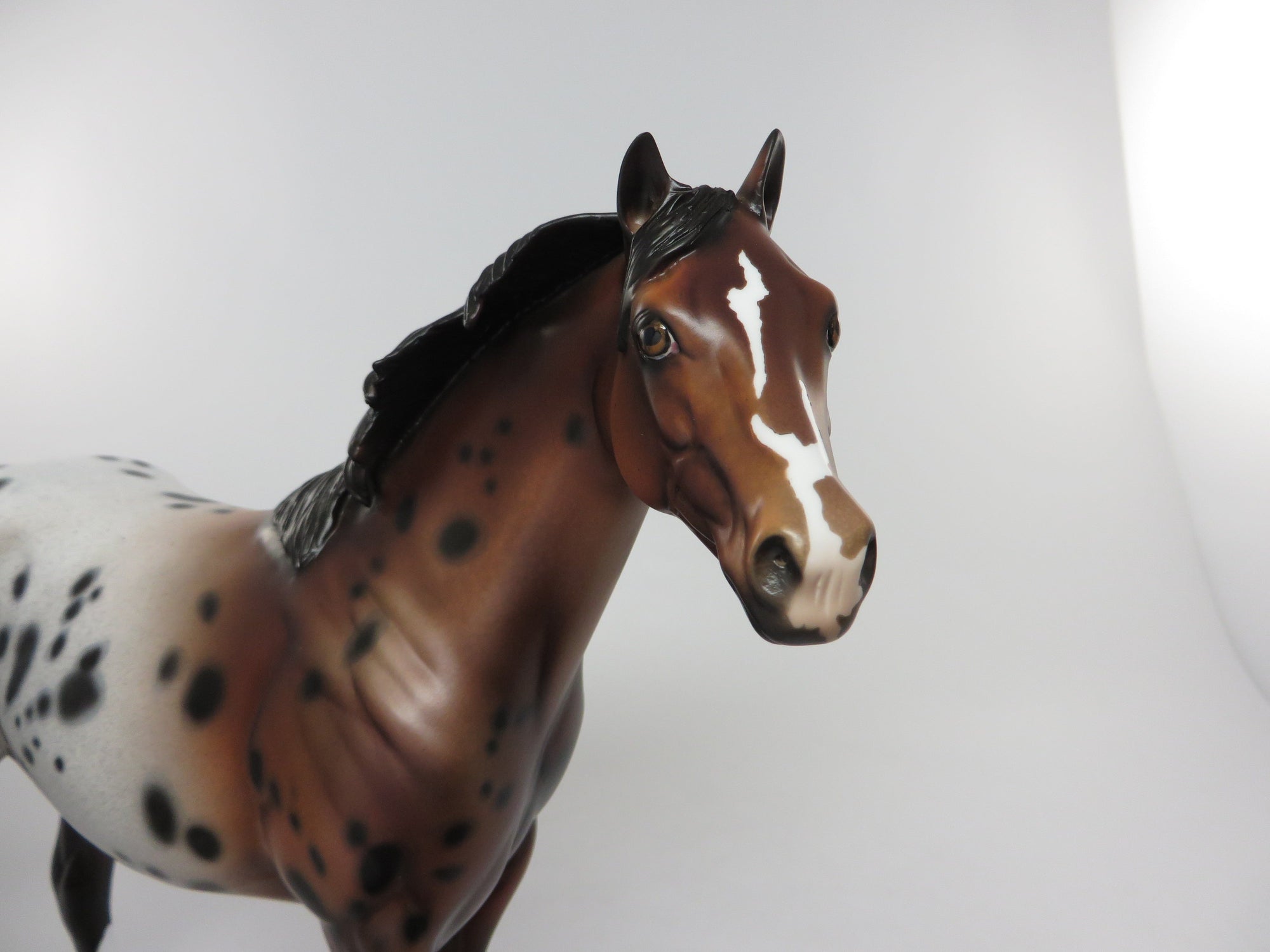 THUNDER STICK-OOAK BRONZE BAY APPALOOSA ISH 8/12
