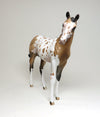 APPALOOSA