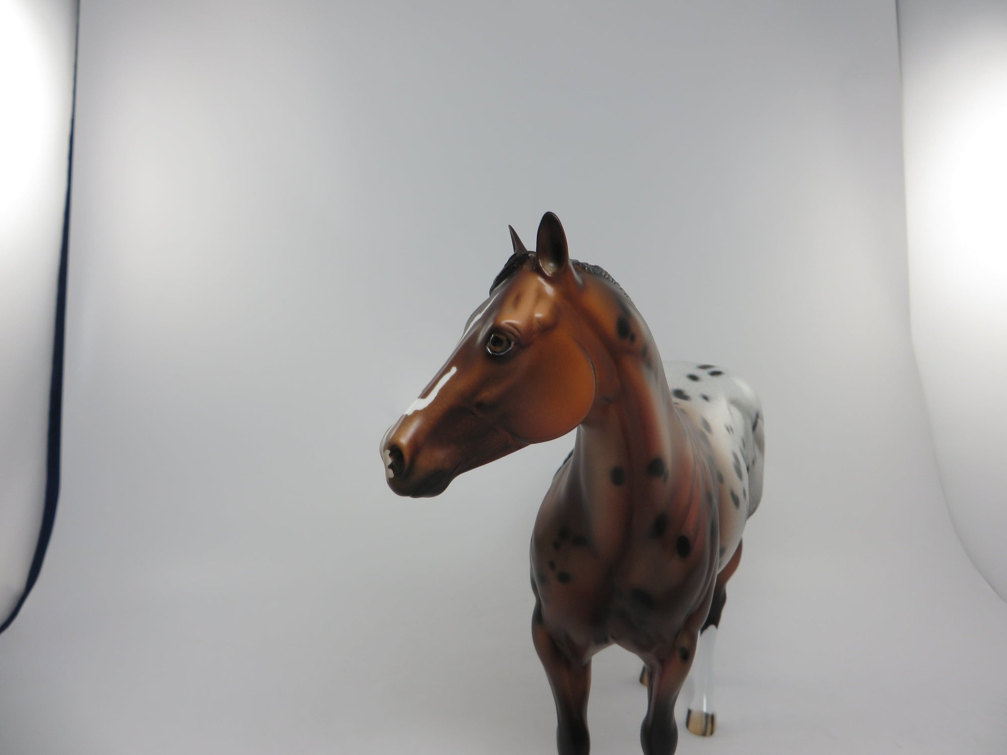 THUNDER STICK-OOAK BRONZE BAY APPALOOSA ISH 8/12