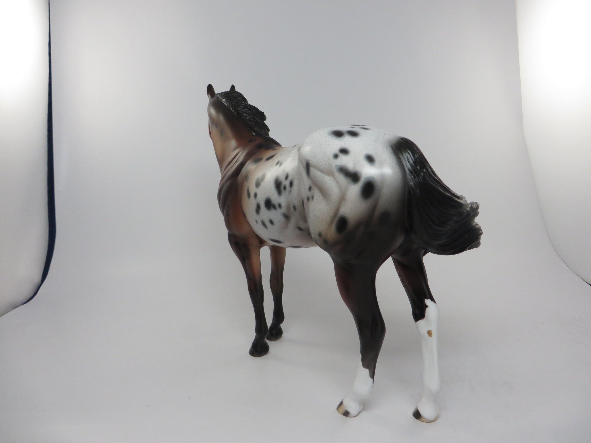 THUNDER STICK-OOAK BRONZE BAY APPALOOSA ISH 8/12