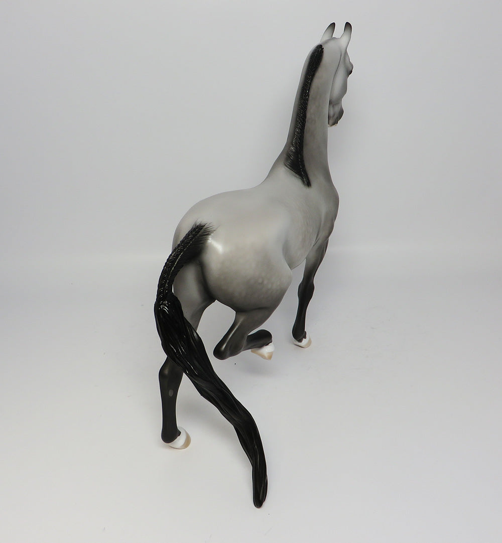 Grey w/ Black Points