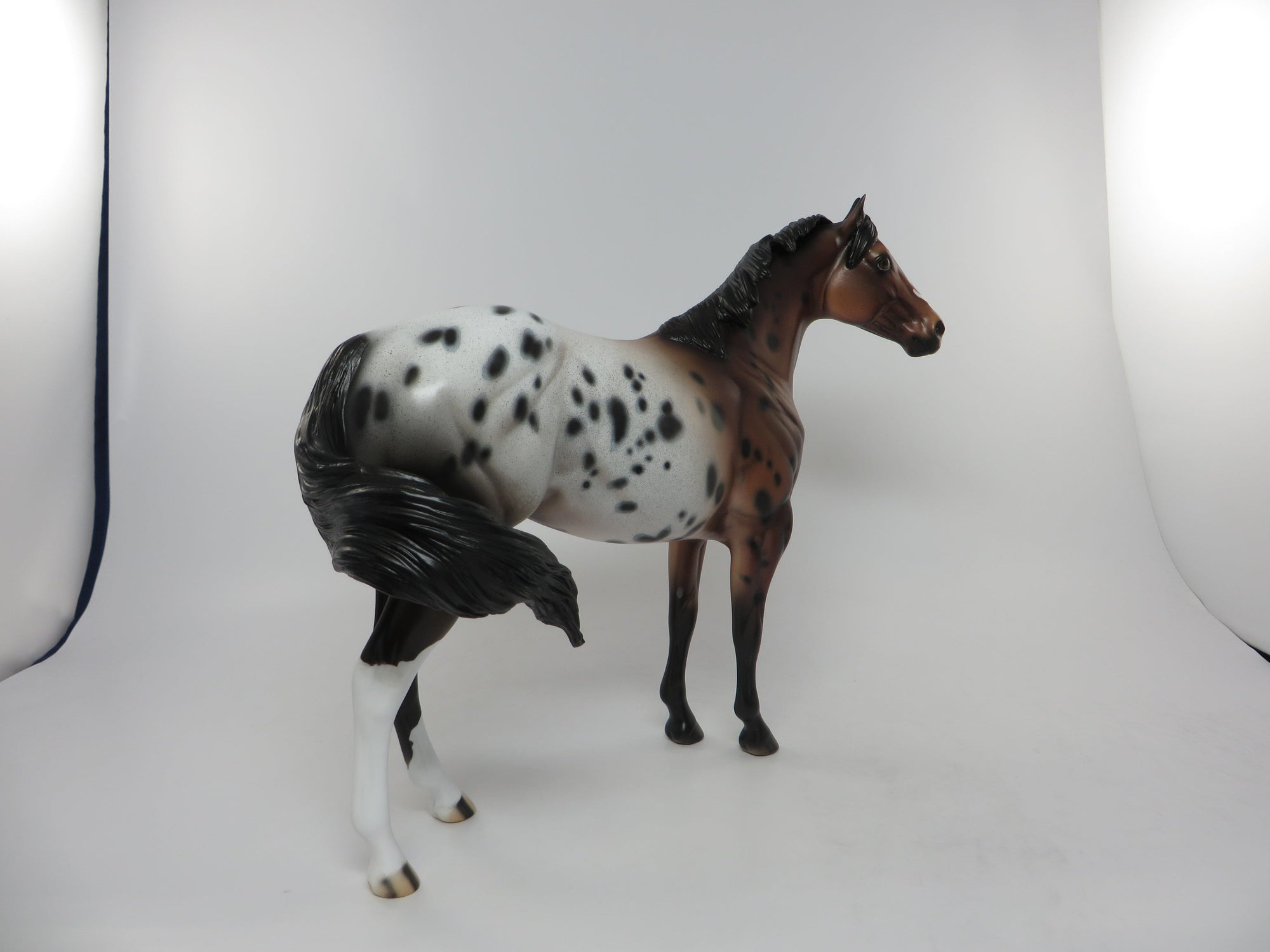 THUNDER STICK-OOAK BRONZE BAY APPALOOSA ISH 8/12