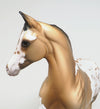 APPALOOSA WEANLING