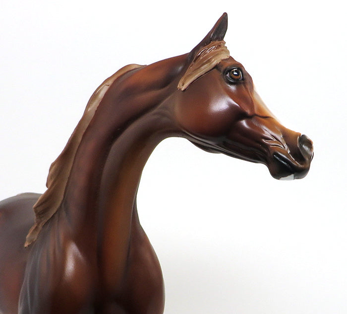 OOAK CHESTNUT ARABIAN