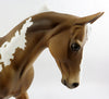 Palomino