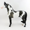 blue roan paint