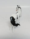 INSTANT REPLAY - OOAK BLACK PINTO DRAFT CHIP BY DAWN