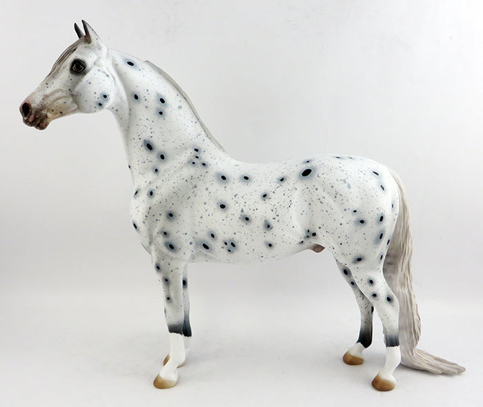 loud appaloosa