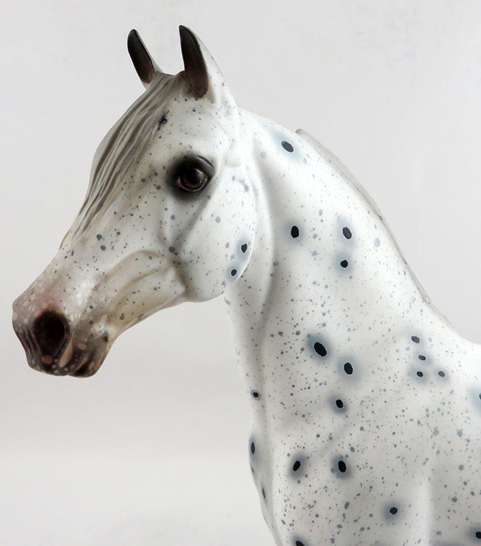 ODYESSY-OOAK LOUD APPALOOSA MORGAN MODEL HORSE 1/19