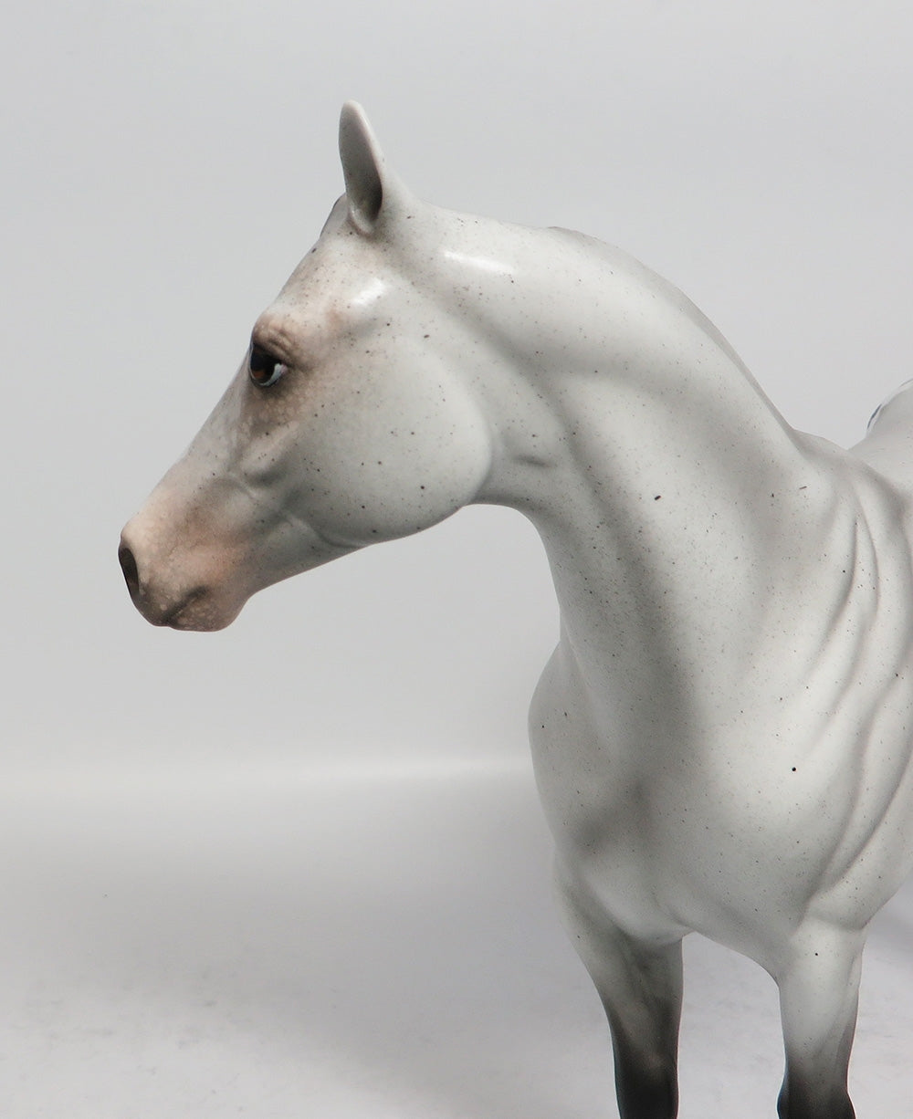 REPEAT AFTER ME-OOAK GREY APPALOOSA ISH MODEL HORSE EQUINE AFFAIRE 2018