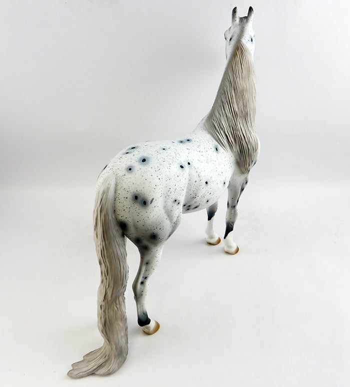 ODYESSY-OOAK LOUD APPALOOSA MORGAN MODEL HORSE 1/19