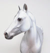 APPALOOSA ISH