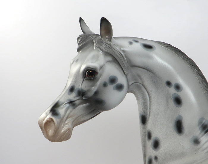 TIC-OOAK LIGHT GREY LEOPARD SPOT APPALOOSA ARABIAN MODEL HORSE 8/12