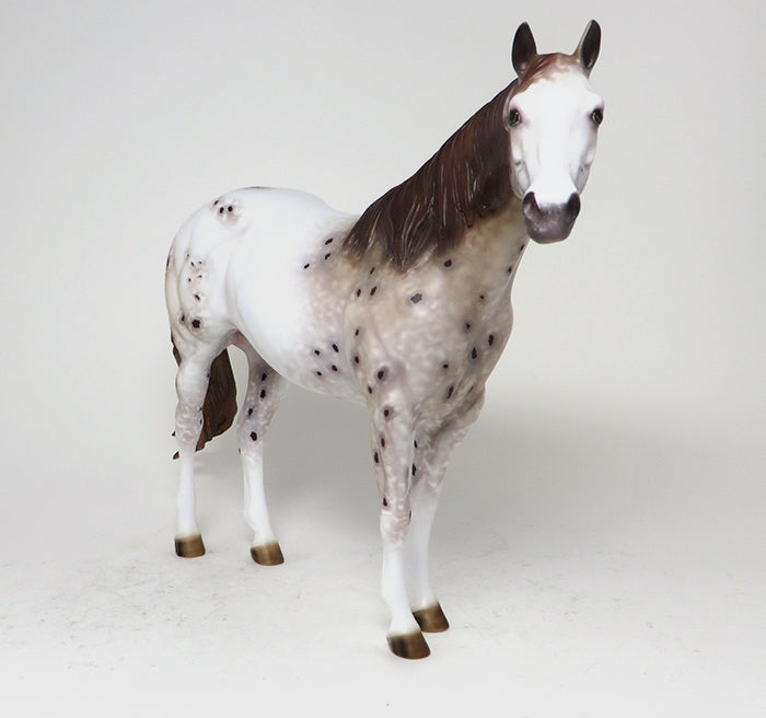 OOAK CHESTNUT APPALOOSA