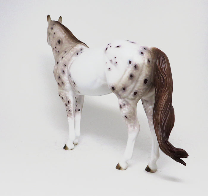 OOAK CHESTNUT APPALOOSA
