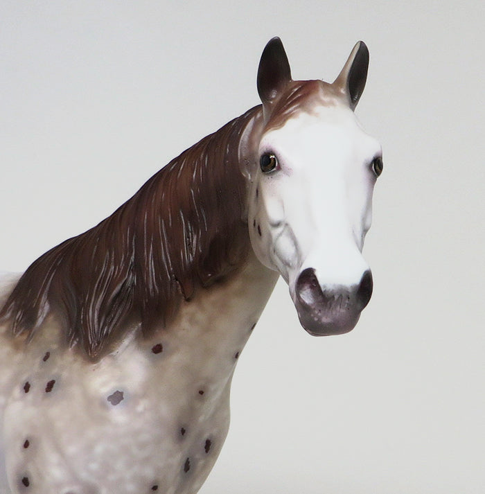 ONE OF A KIND MODEL HORSE