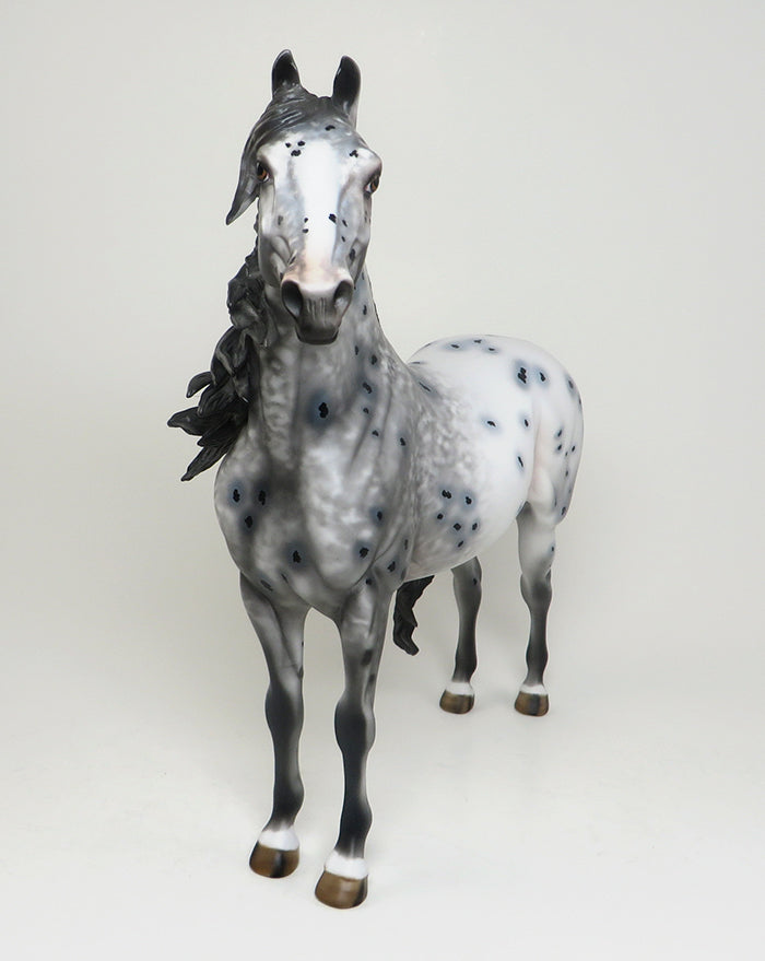 DOKKEN - OOAK CM APPALOOSA MORGAN MODEL HORSE by AL - 2/16