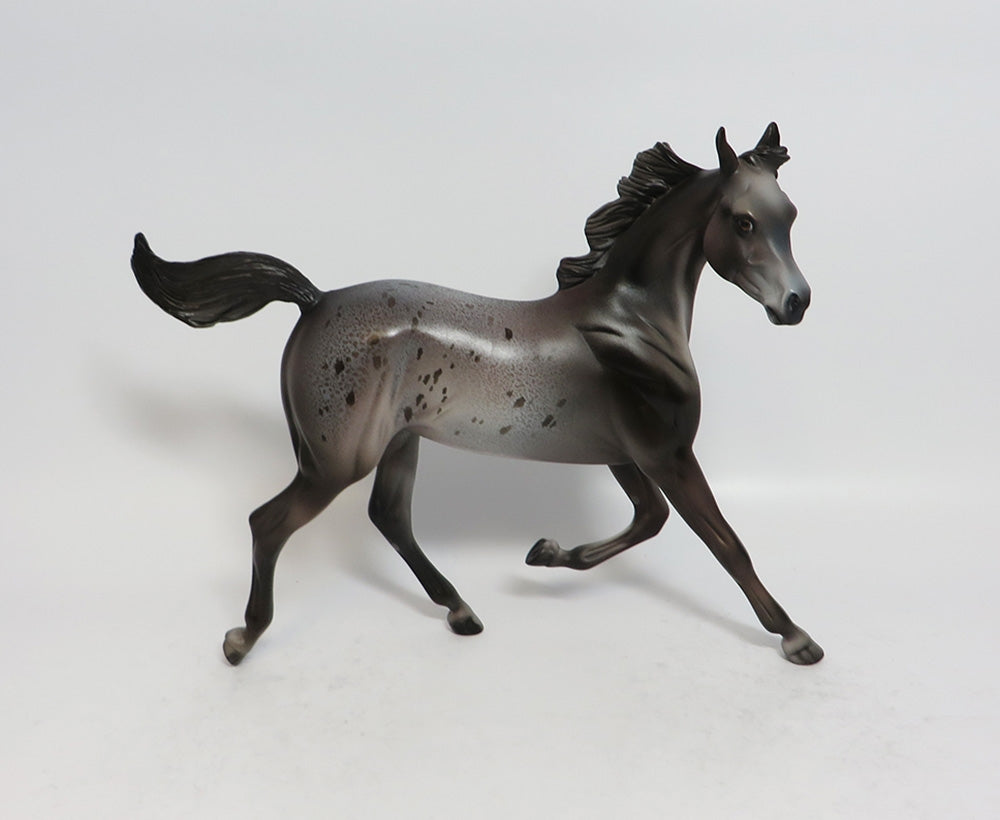 CHEERLEADER - OOAK DARK GREY APPALOOSA YEARLING MODEL HORSE BY DAWN QUICK SUPER BOWL SALE 2018