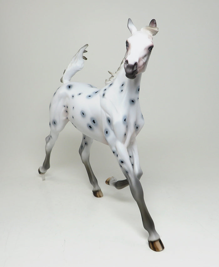 INXS - OOAK APPALOOSA YEARLING MODEL HORSE by AL - 2/16