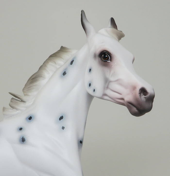 INXS - OOAK APPALOOSA YEARLING MODEL HORSE by AL - 2/16