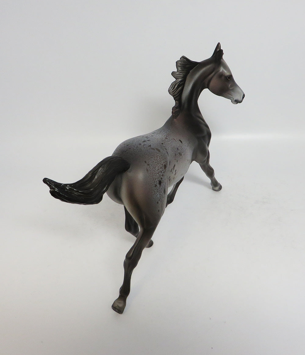 CHEERLEADER - OOAK DARK GREY APPALOOSA YEARLING MODEL HORSE BY DAWN QUICK SUPER BOWL SALE 2018