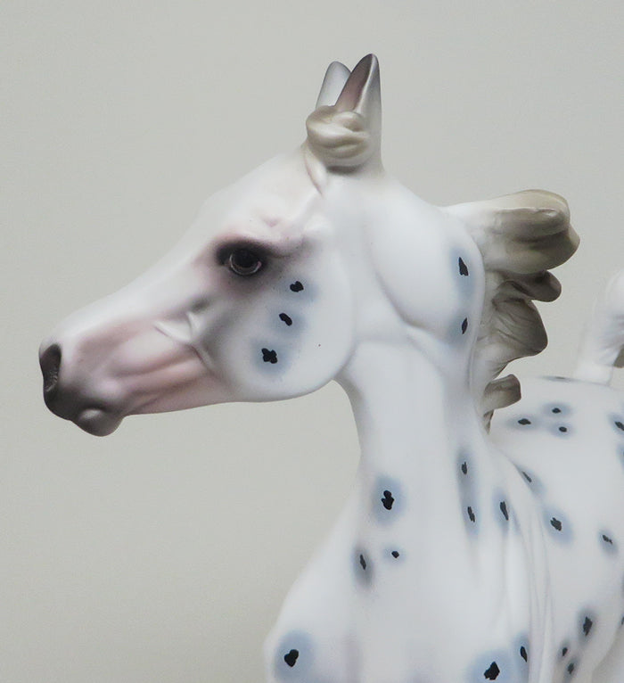 INXS - OOAK APPALOOSA YEARLING MODEL HORSE by AL - 2/16