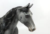 Appaloosa