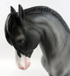 FALLON-OOAK GREY APPALOOSA ROACHED MANE ANDALUSIAN MODEL HORSE 1/19